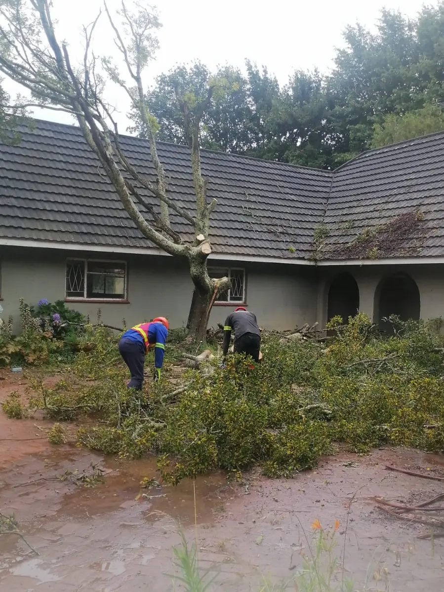 Two workers cutting up the branches of a tree taken down next to a house with a tiled roof.